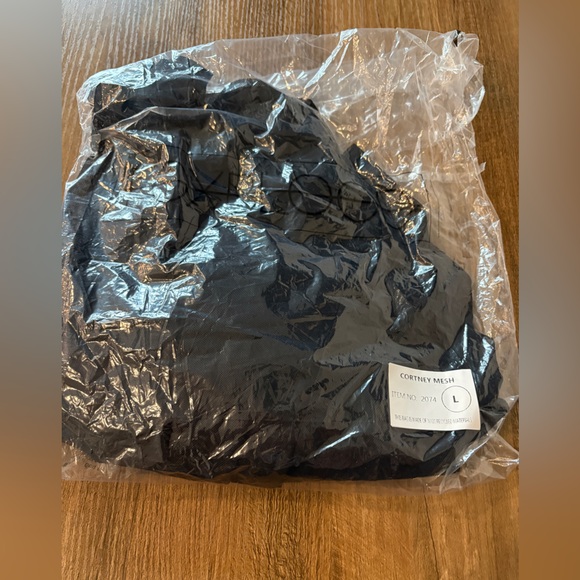 NEW IN BAG Foxblood Courtney Mesh Babydoll Dress - Large - Picture 8 of 10